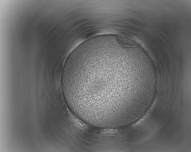 X0000063471137200602031853