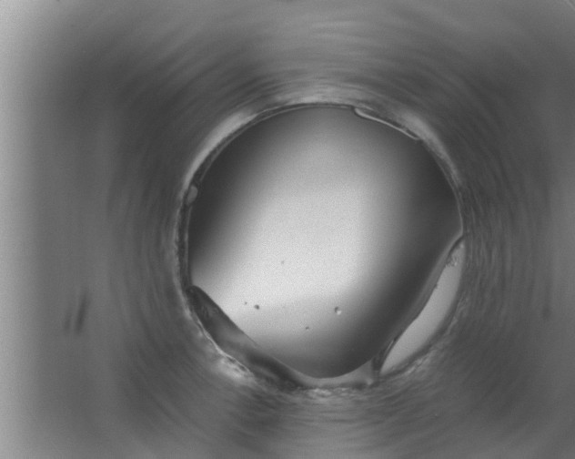 X0000063471138200602031853