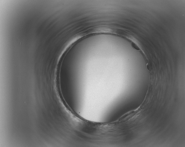 X0000063471139200602031853