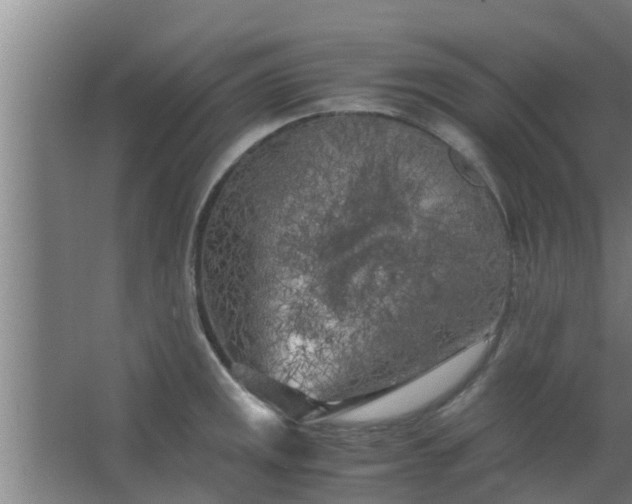 X0000063471141200602031853