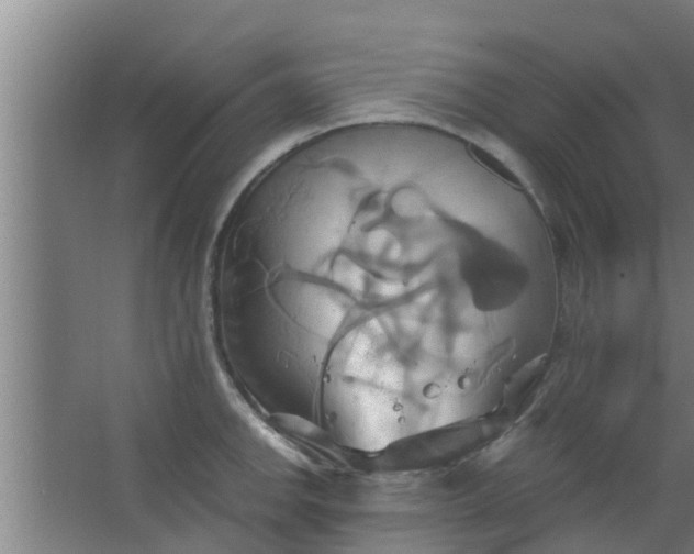 X0000063471142200602031853