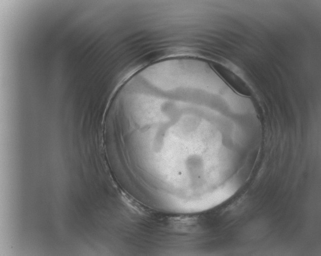 X0000063471145200602031853