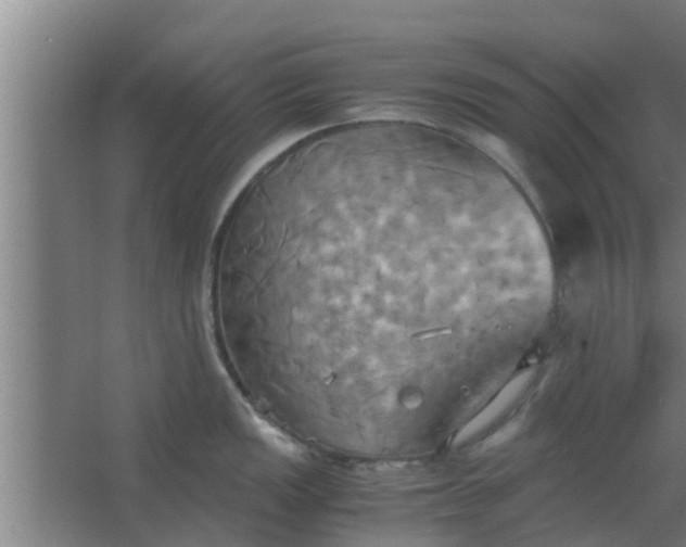 X0000063471149200602031853