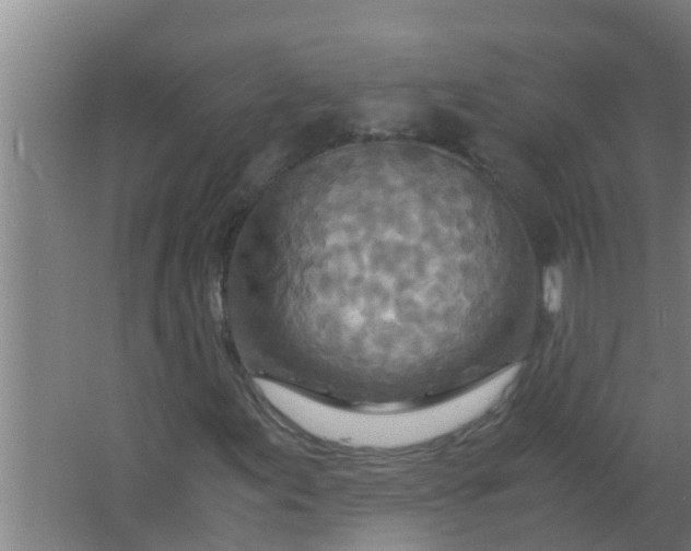 X0000063471155200602031852