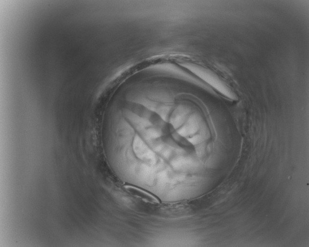 X0000063471159200602031852