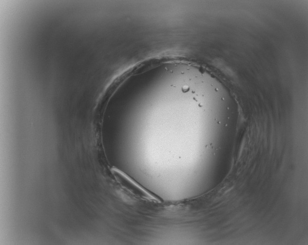 X0000063471160200602031852