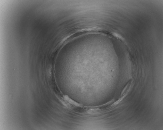 X0000063471161200602031852