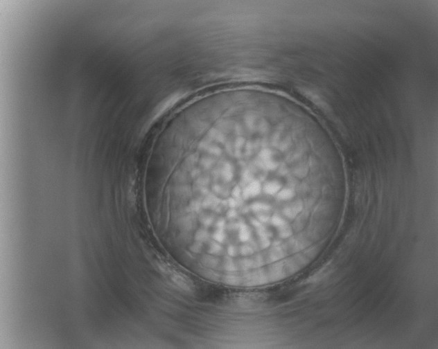 X0000063471163200602031852