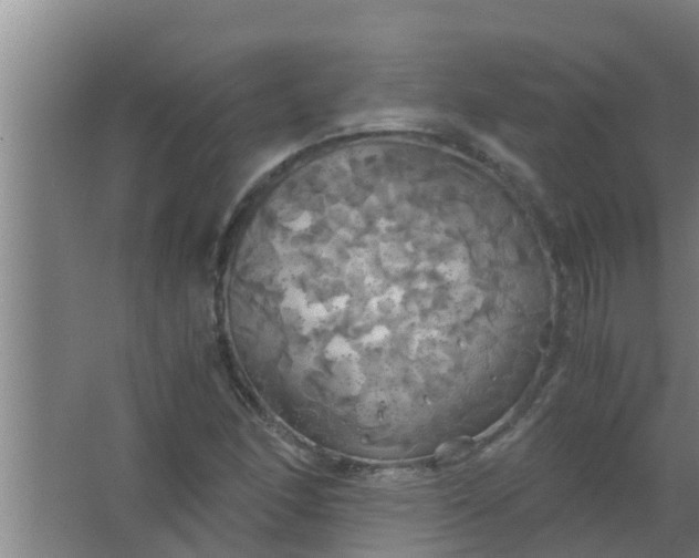 X0000063471166200602031852