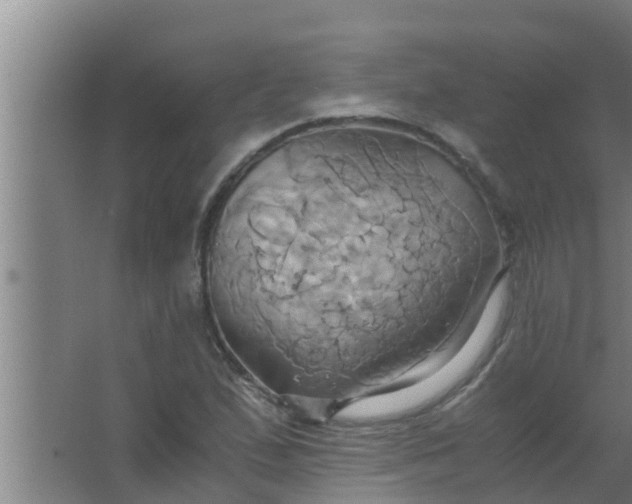 X0000063471167200602031852