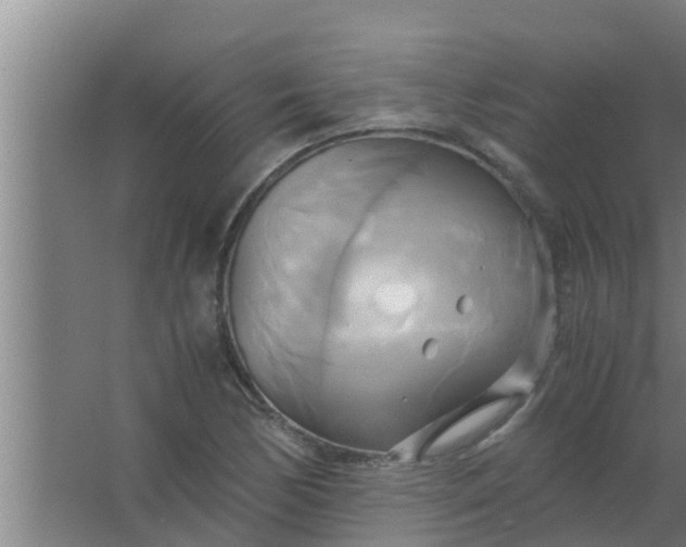 X0000063471170200602031852