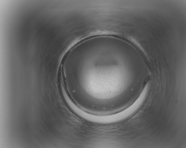 X0000063471173200602031852