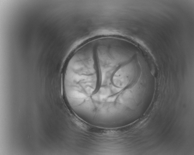 X0000063471175200602031852