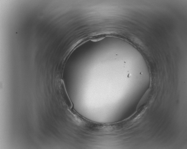 X0000063471177200602031852