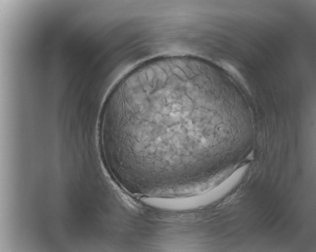 X0000063471183200602031852