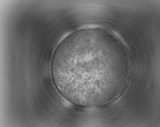 X0000063471186200602031852