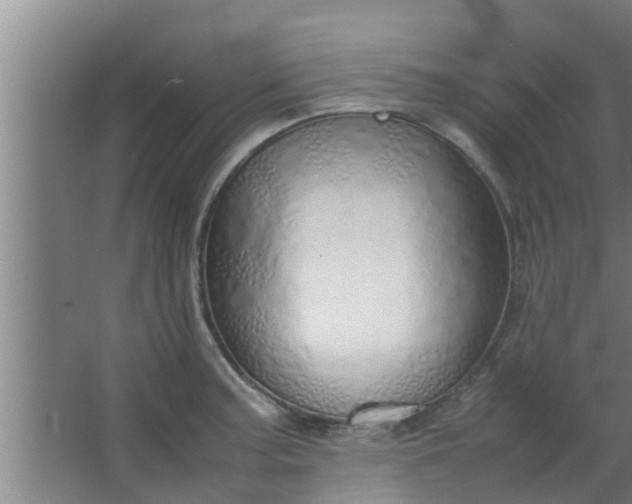 X0000063471187200602031852