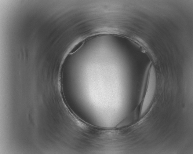 X0000063471188200602031852