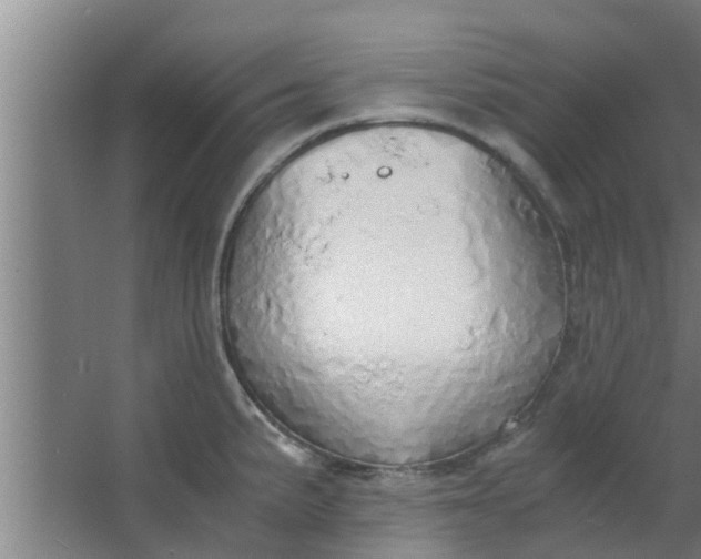 X0000063471191200602031852