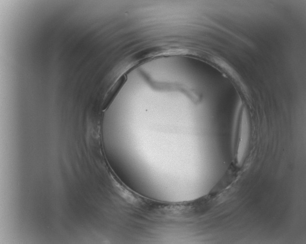 X0000063471193200602031852