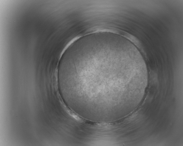 X0000063471198200602031851