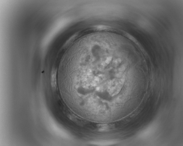 X0000063471199200602031851