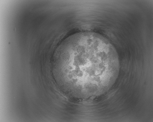 X0000063471201200602031851