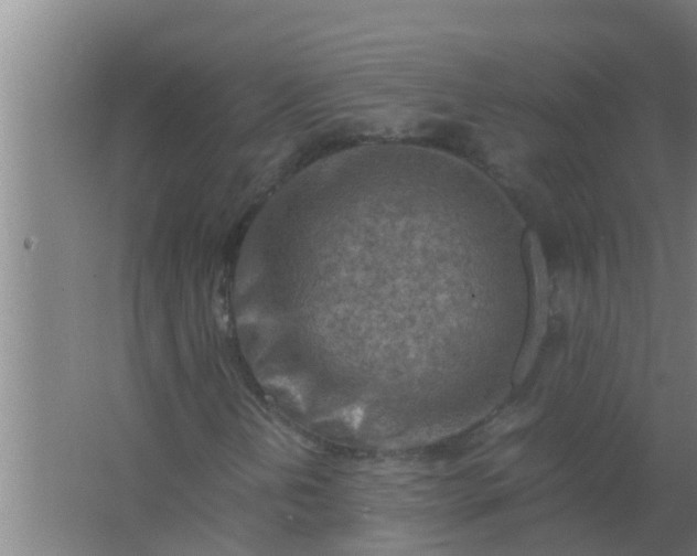 X0000063471202200602031851