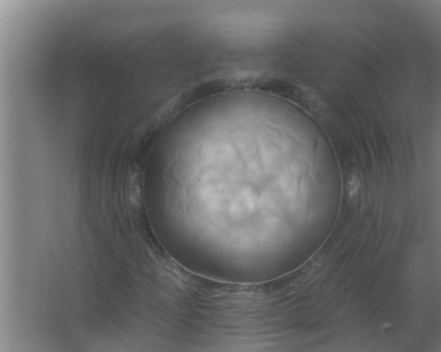 X0000063471204200602031851