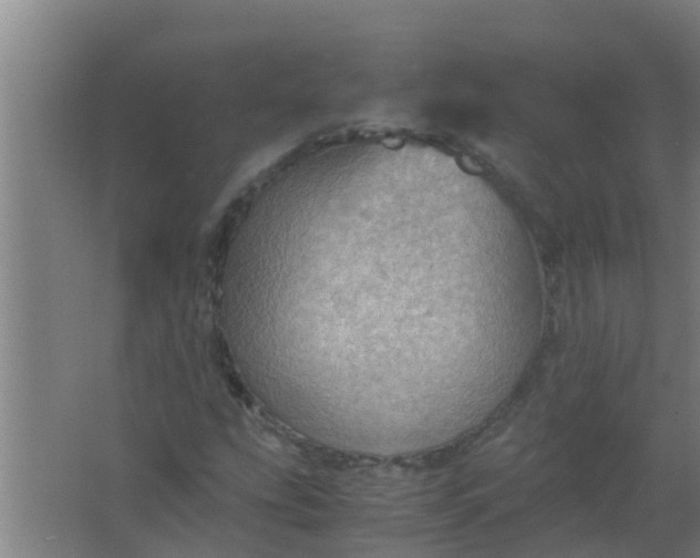 X0000063471207200602031851