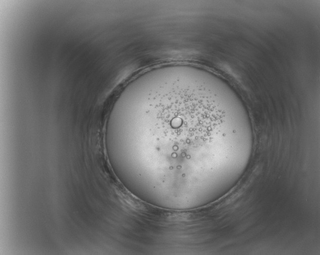 X0000063471211200602031851