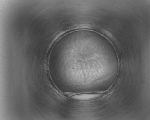 X0000063471212200602031851