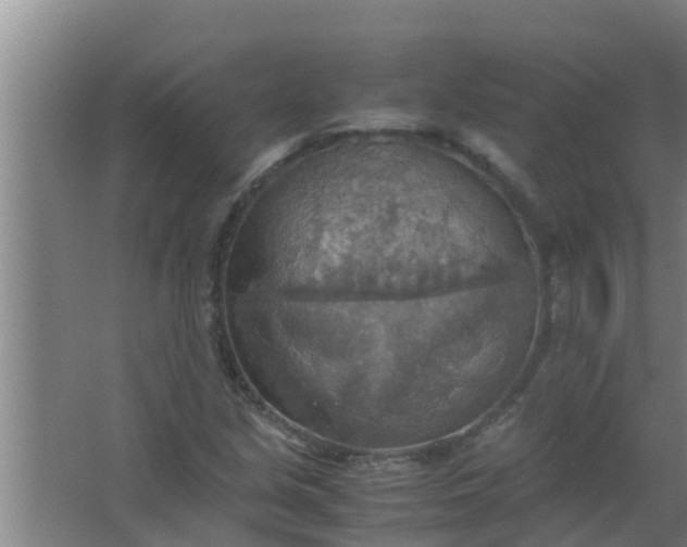 X0000063471213200602031851