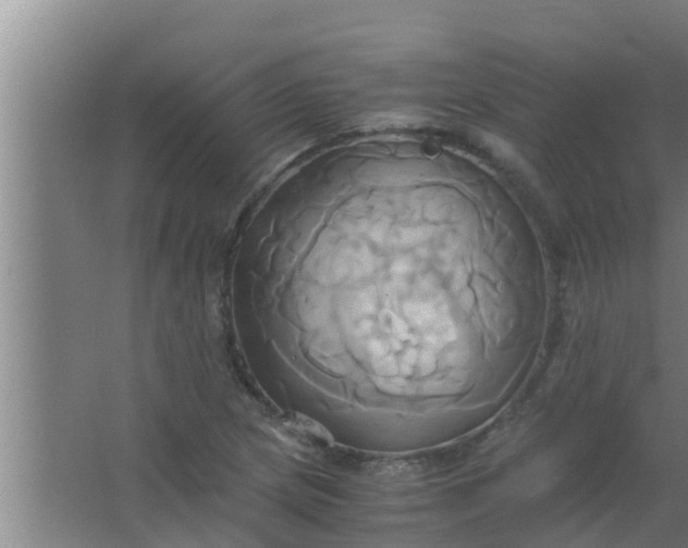 X0000063471217200602031851