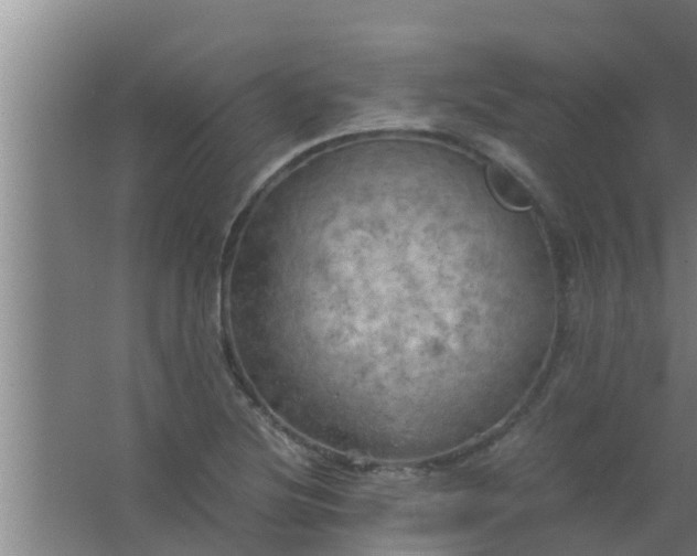 X0000063471220200602031851