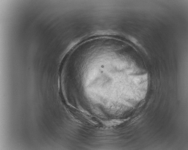 X0000063471221200602031851