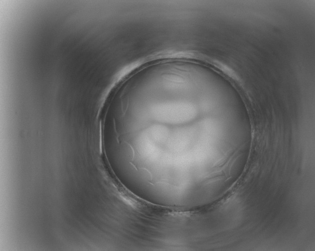 X0000063471223200602031851