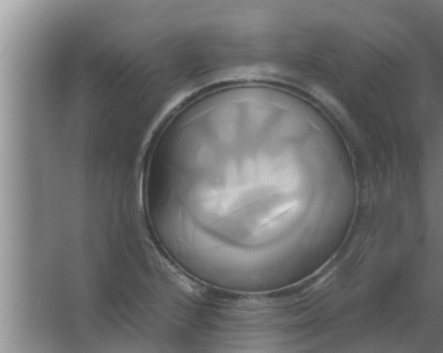 X0000063471224200602031851