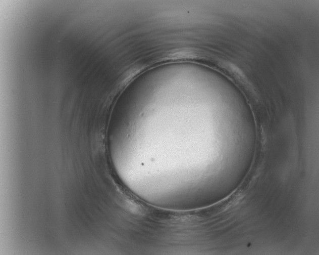 X0000063471225200602031851