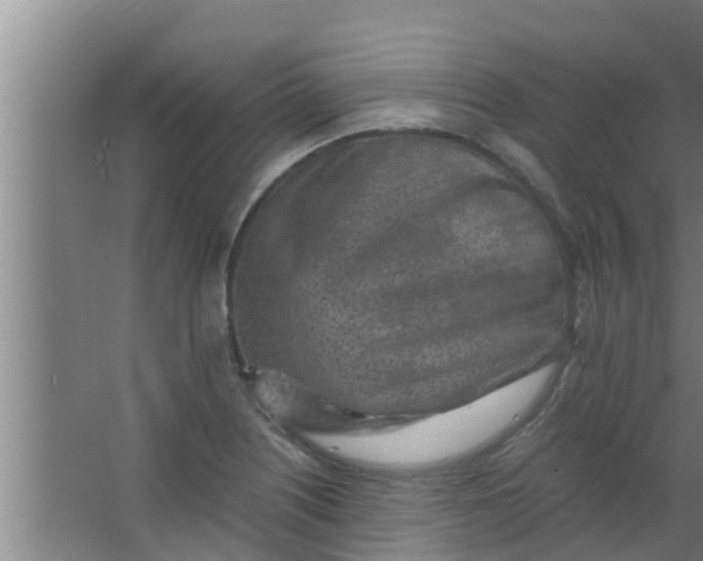 X0000063471226200602031851