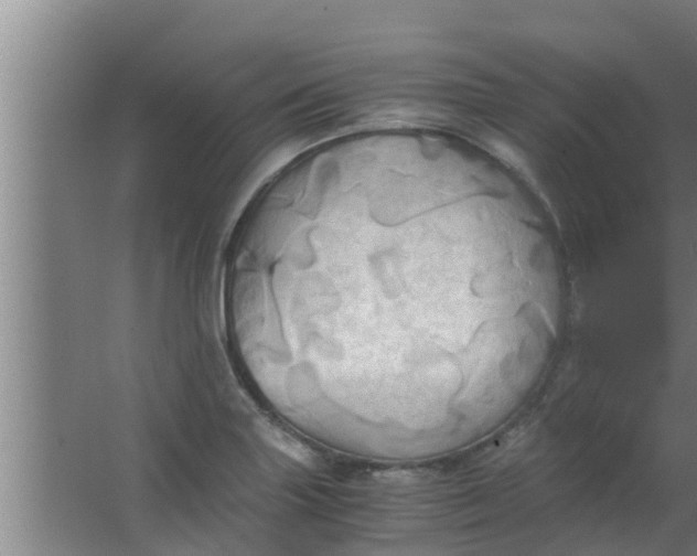 X0000063471227200602031851