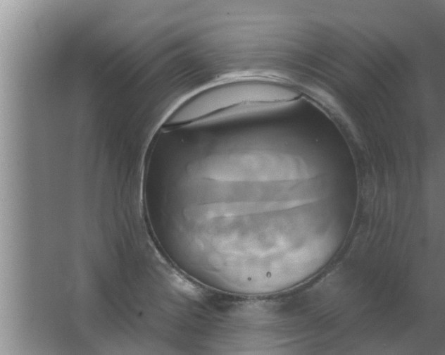 X0000063471228200602031851