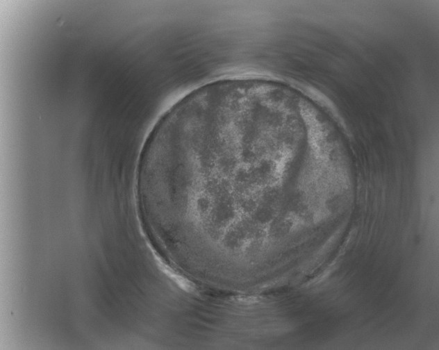 X0000063471231200602031851