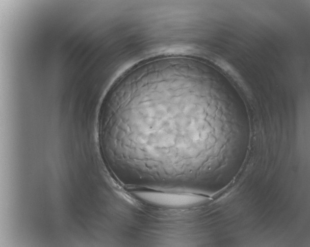 X0000063471232200602031851