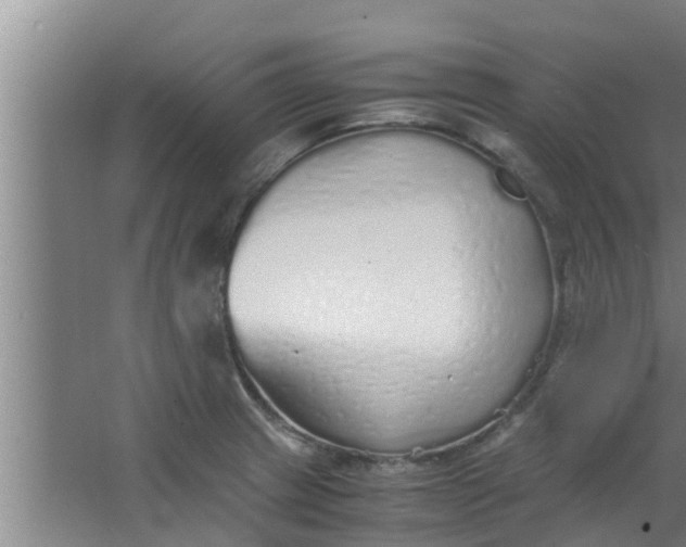 X0000063471233200602031851