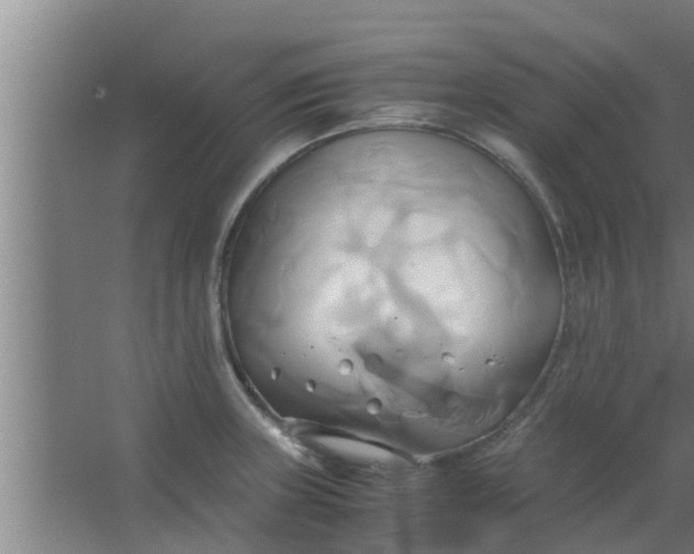 X0000063471235200602031851