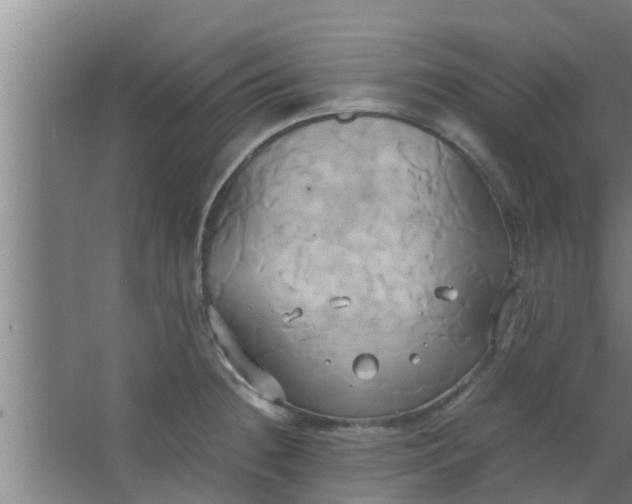 X0000063471236200602031851