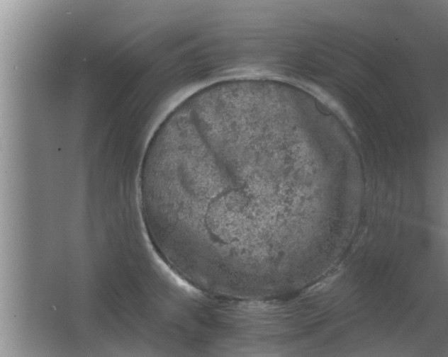 X0000063471239200602031851