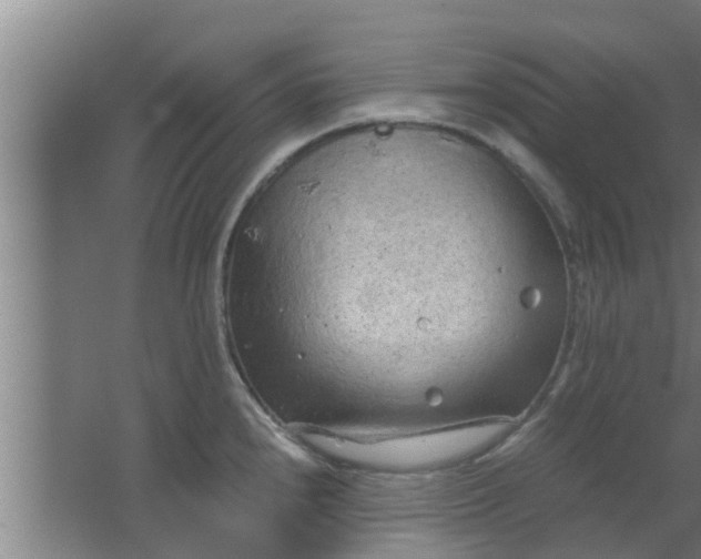 X0000063471240200602031851