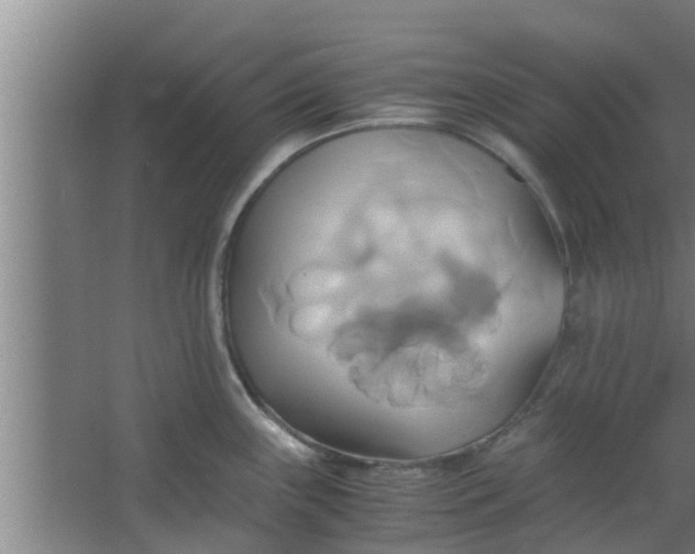 X0000063471243200602031851